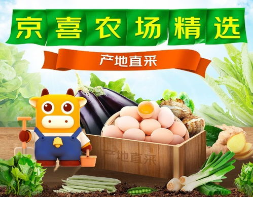 京喜农场在济南上线 安心菜 专供区 助力农户增收 让消费者放心吃